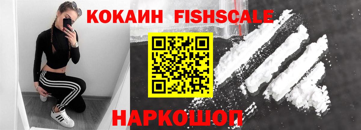 магазин    Вход с VPN  Cocaine Fish Scale  Губкин  Cocaine Fish Scale 