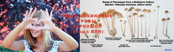 трава Волосово