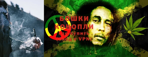 стаф Вязники
