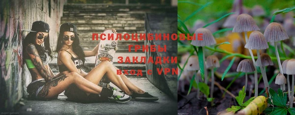 стаф Вязники