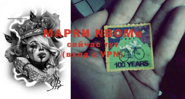 стаф Вязники