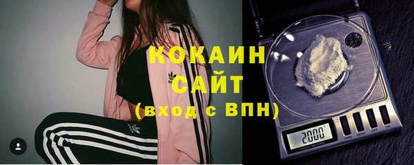 стаф Вязники