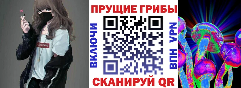 площадка формула  Губкин  Галлюциногенные грибы прущие грибы  наркотики 