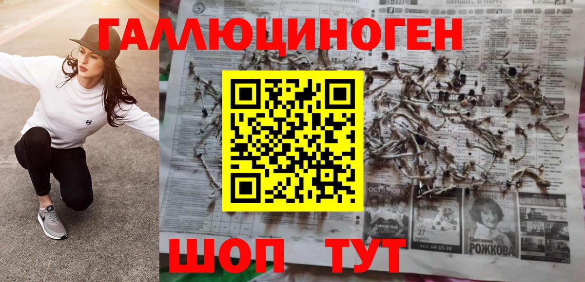 Псилоцибиновые грибы Cubensis Губкин